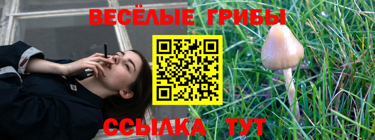 Псилоцибиновые грибы GOLDEN TEACHER Артём