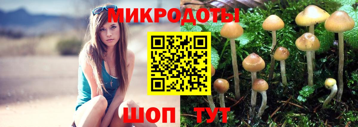 Галлюциногенные грибы мицелий  Галлюциногенные грибы Cubensis  Вход с VPN  где найти   Артём 